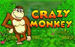 Игровой автомат Crazy Monkey бесплатно без регистрации