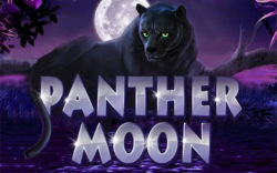 Играть в игровые автоматы бесплатно Panther Moon без регистрации