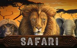 Играть в игру Safari Heat бесплатно и без регистрации