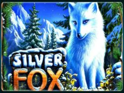 Играть в игру Silver Fox бесплатно